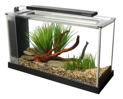 Fluval Spec V 5 Gallon Aquarium Kit