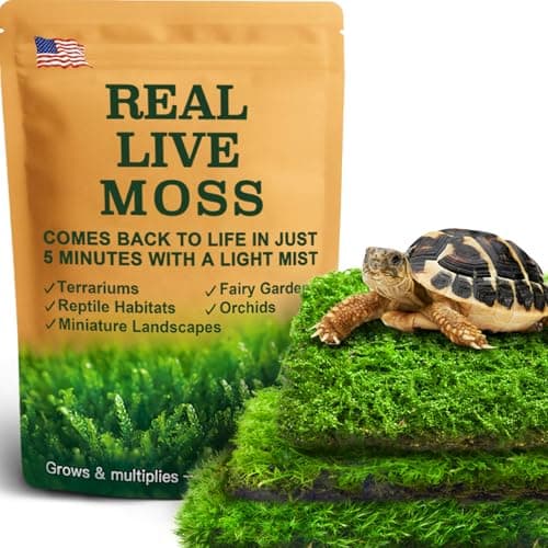 Josh's Frogs Live Sheet Moss | Medium