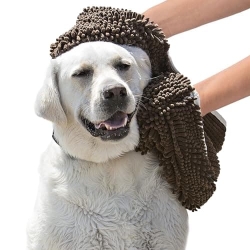 Soggy Doggy SUPER SHAMMY
