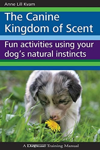 The Canine Kingdom of Scent by Anne Lill Kvam