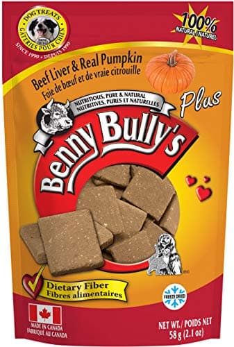 Benny Bully s citrouille plus