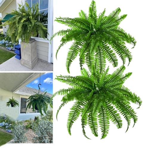 Boston Fern Bush Fern Collection by Ashland - Walmart.com