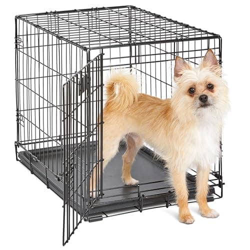 MIDWEST iCrate Single Door Collapsible Wire Dog Crate, Pink, 24 inch ...