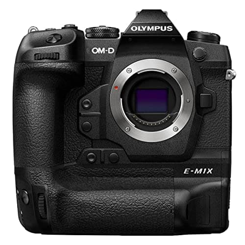 Real-World Review of the Olympus OMD-EM1X