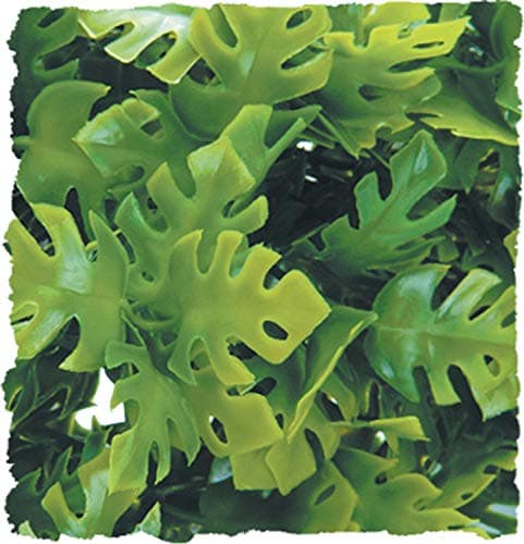 Zoo Med Amazonian Phyllo Plant