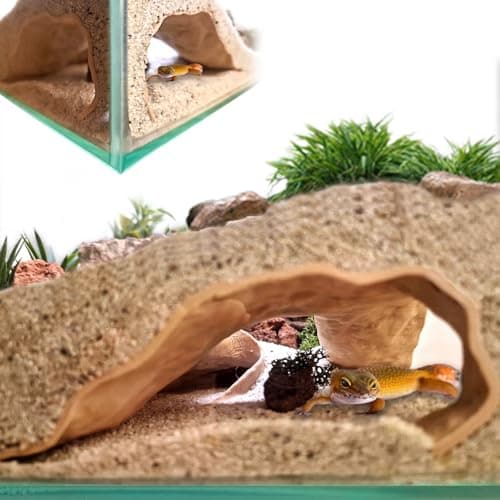 Thrive Tropical Reptile Corner Terrarium - 20 Gallon | reptile ...