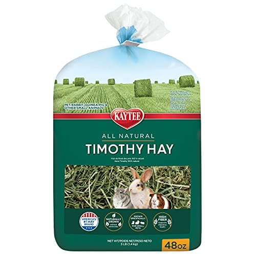 Kaytee All Natural Timothy Hay for Guinea Pigs, Rabbits & Other Small ...