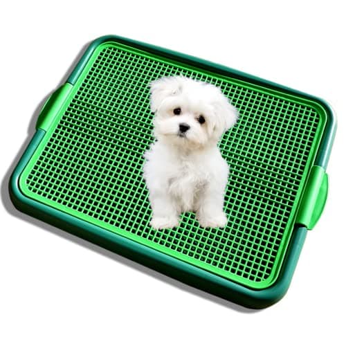 Blyss Pets Klean Paws Indoor Dog Potty - Find Property to Rent