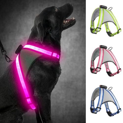 Missy's Product Reviews : Illumiseen LED Dog Vest & LED Dog Leash ...