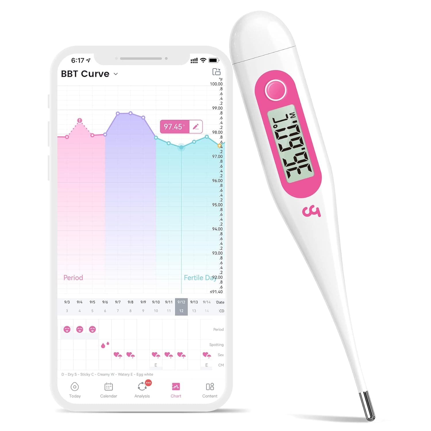 femometer Body Temperature Thermometer, Digital Basal Thermometer for ...