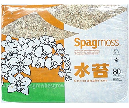 New Zealand Sphagnum Moss Premium Grade