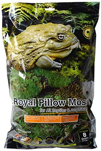Galapagos Royal Pillow Moss