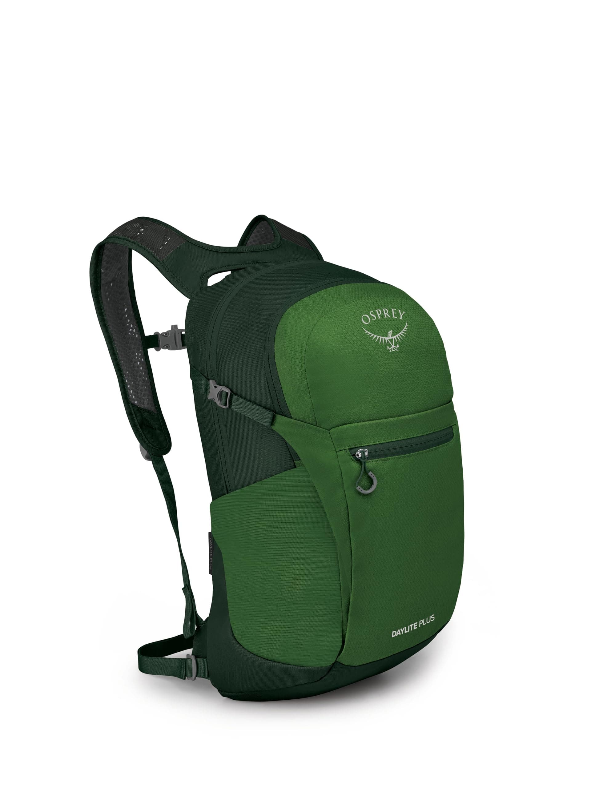 Osprey Daylite Plus Commuter Backpack, Green Belt/Green Canopy