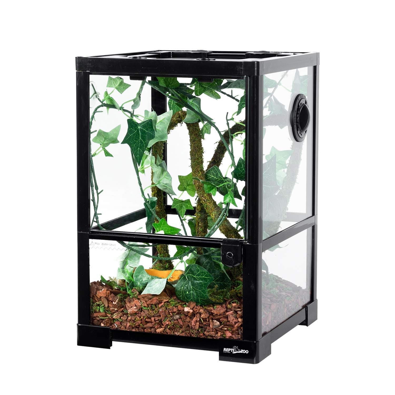 10 Gallon Paludarium