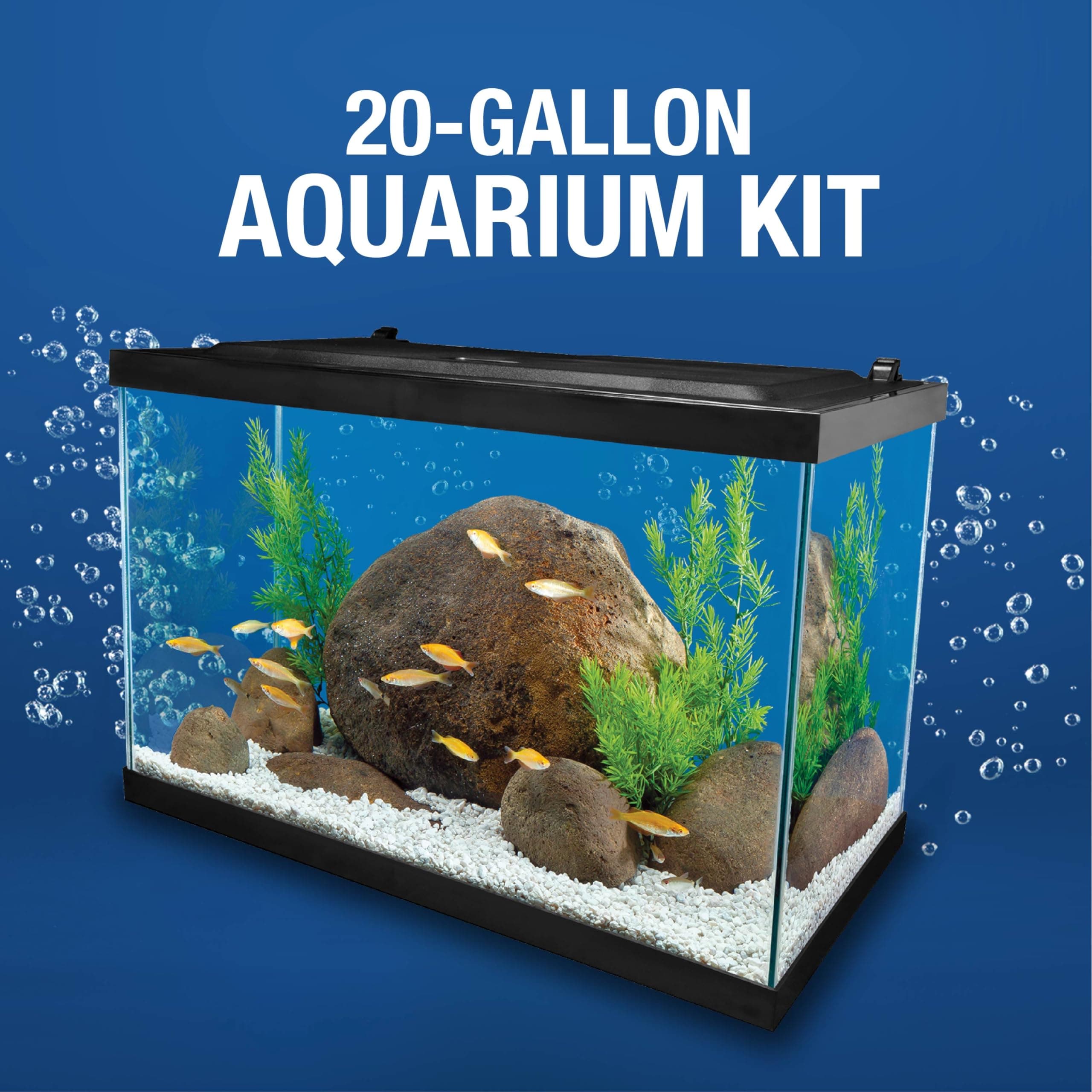 20 Gallon Freshwater Aquarium Ideas