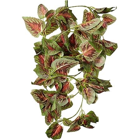 Amazon.com : Fluker's Repta Vines-Pothos for Reptiles and Amphibians ...