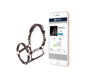 Gifts For The Horse Who Has Everything | by The PonyApp | Medium
