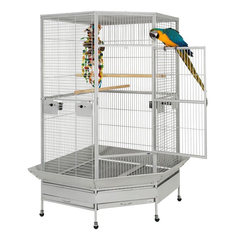Liberta Raleigh Large Corner Parrot Cage | Parrotize UK