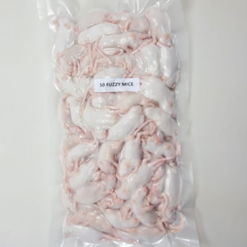 Frozen Mice - Perfect For Feeding Snakes & Carnivorous Pets.