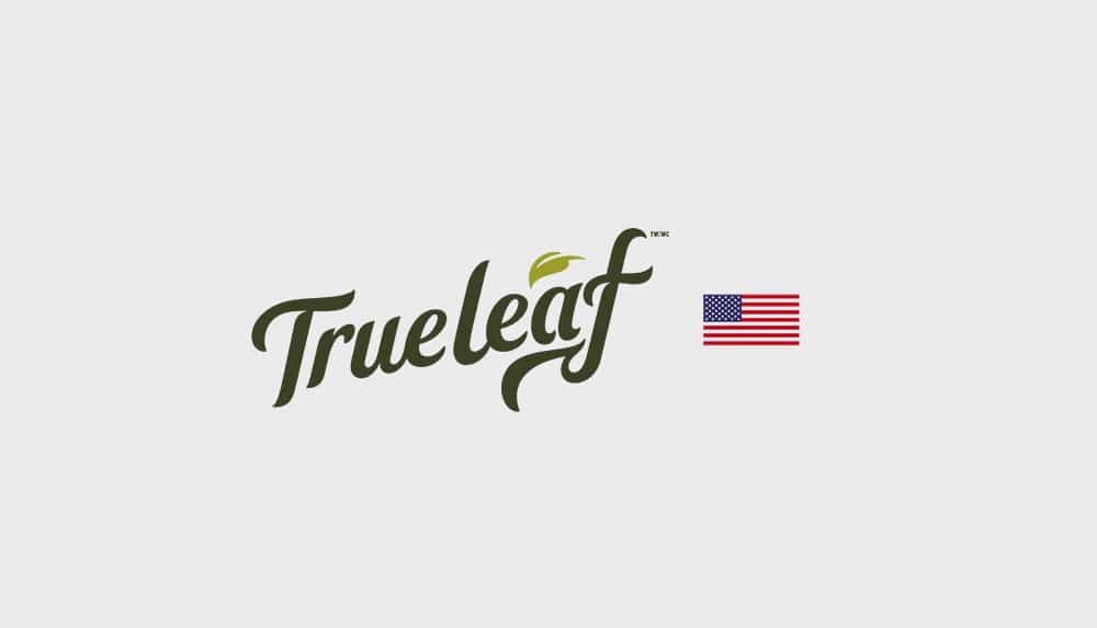 Trueleaf Petcare - Hip + Joint Chews for Dogs - Supports Mobility, Natural Joint Health, with Hemp Seed Oil, Green Lipped Mussel, and Turmeric, Omega-3, 6, & 9 Fatty Acids, Made in Canada (200g)
