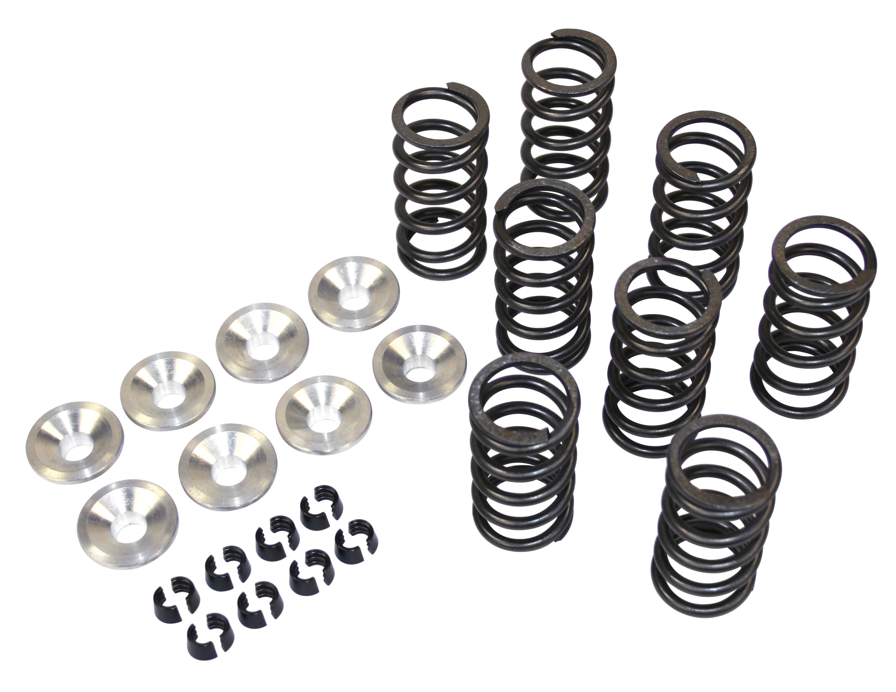Valve Spring Kit at Susan Lebrun blog