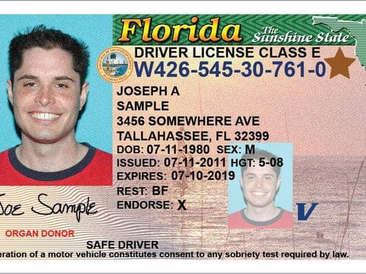 Florida Driver License Template Download - renewarchi