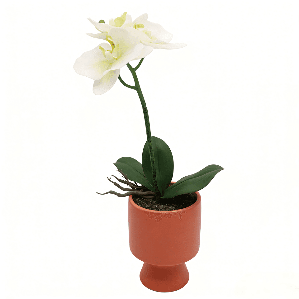 Artificial Orchid Flowers Plants Potted in Ceramic Pot White Faux ...