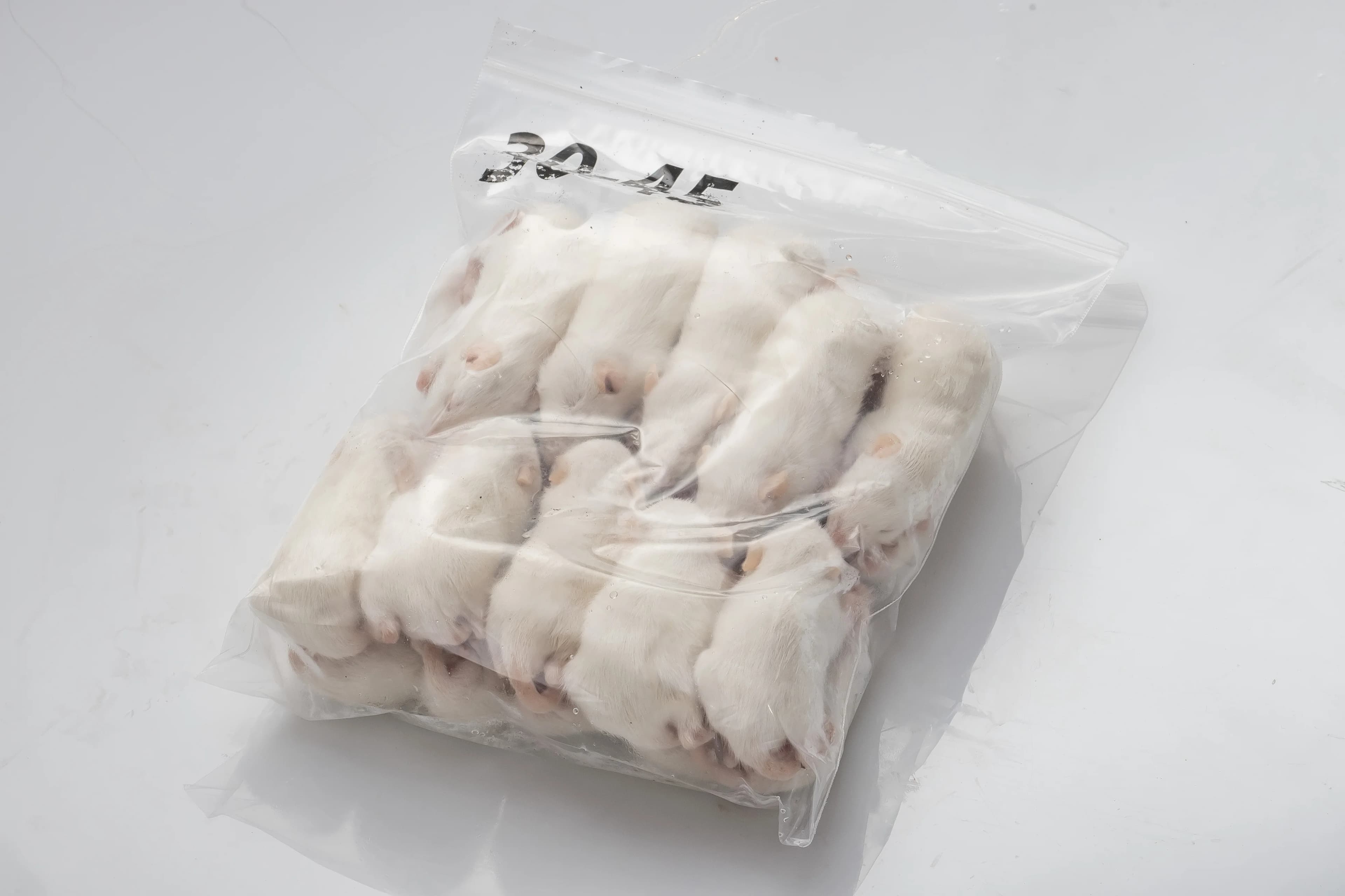 Pinky Mice For Pet Snakes,Lizards,Frogs,Turtles,Crocodiles,Foxes,Hawks ...
