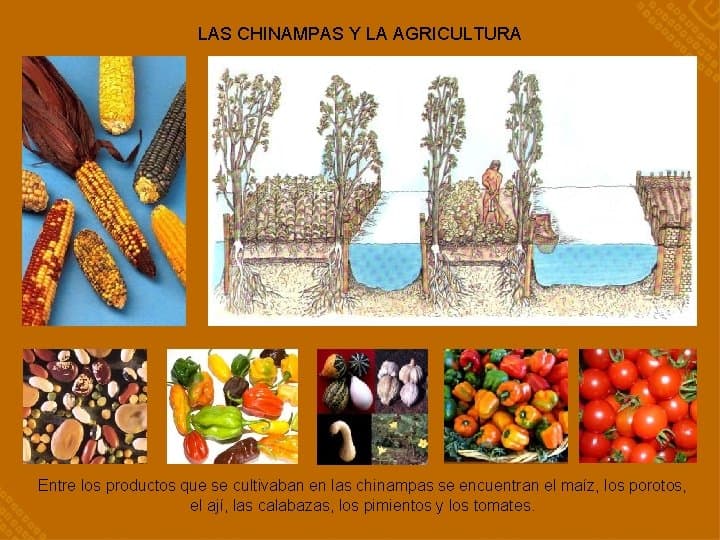 MESOAMRICA Y LA CULTURA AZTECA MUSEO CHILENO DE