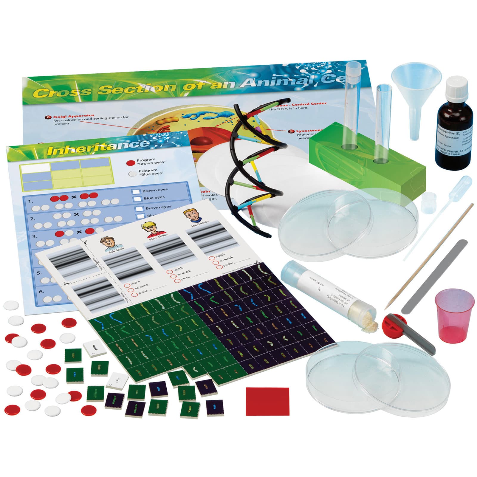 Thames & Kosmos Genetics & DNA Experiment Kit | Rapid Electronics
