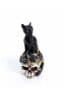 Cat & Skull Miniature Ornament by Alchemy Gothic - Gothic Home Decor