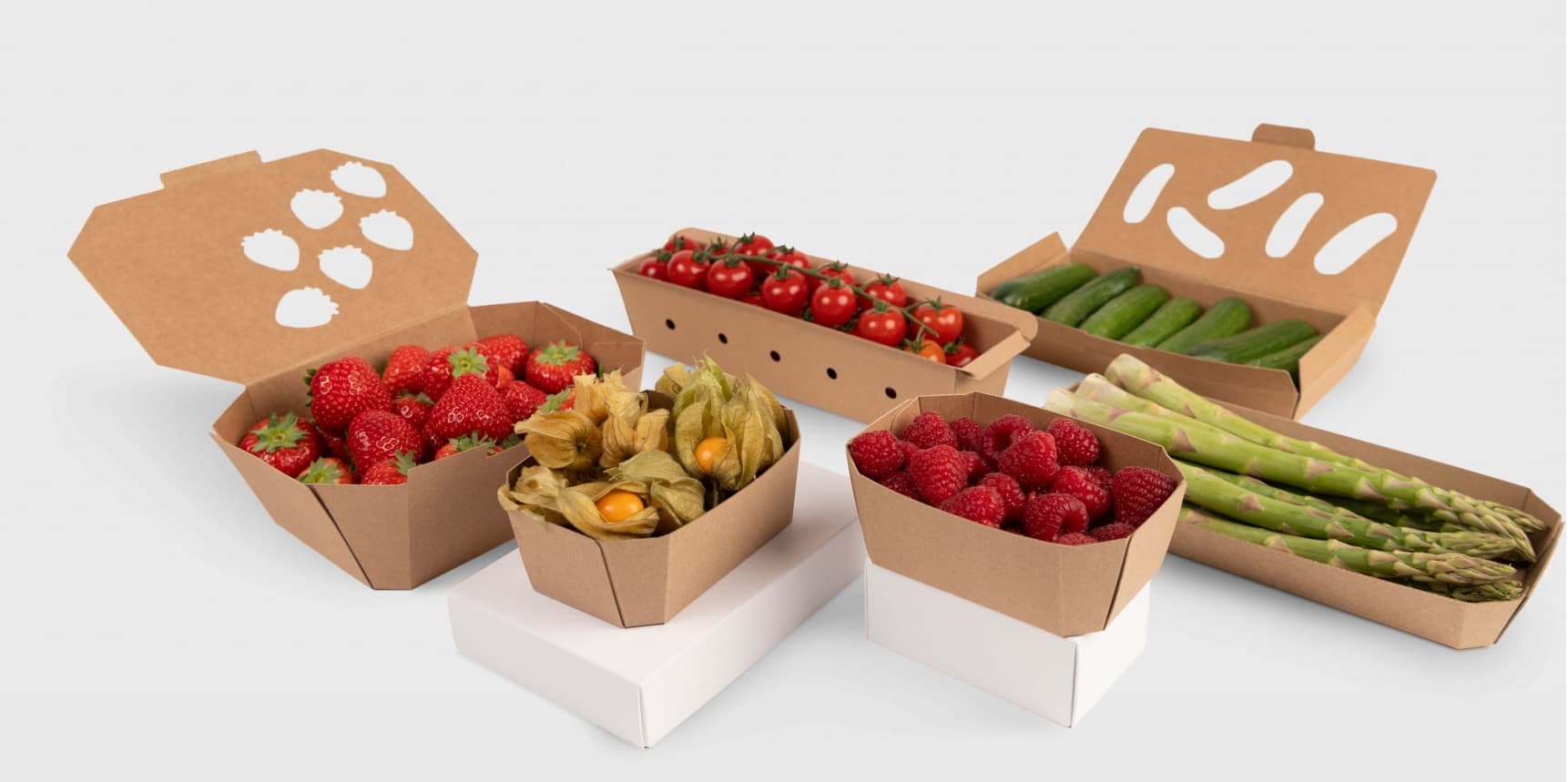 Folding carton trays: open up a world with brand new packaging ...