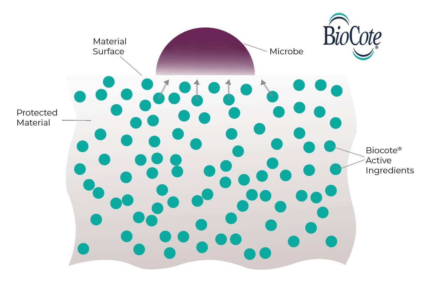 What is Antimicrobial Technology? | BioCote