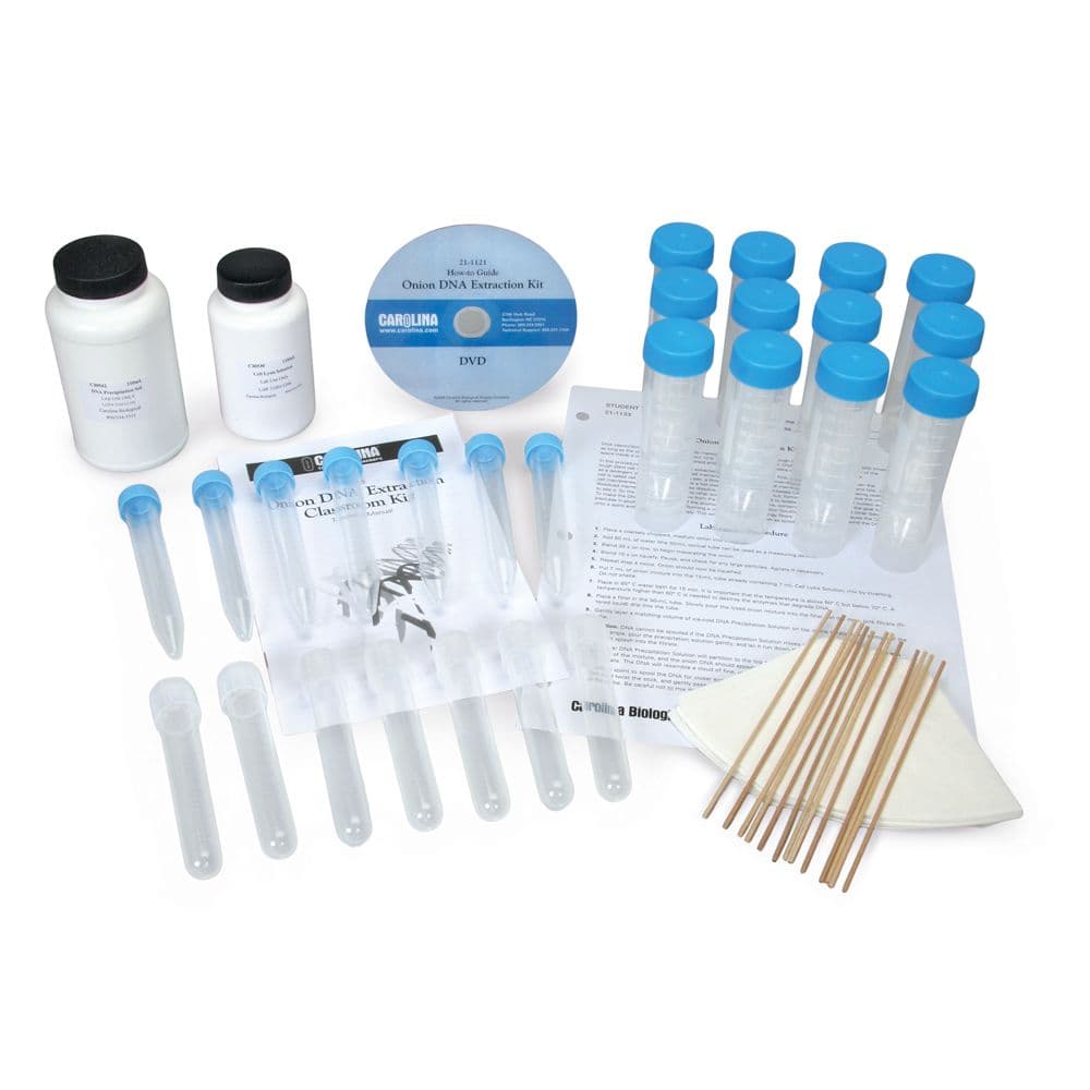 Onion DNA Extraction Classroom Kit | Carolina Biological Supply