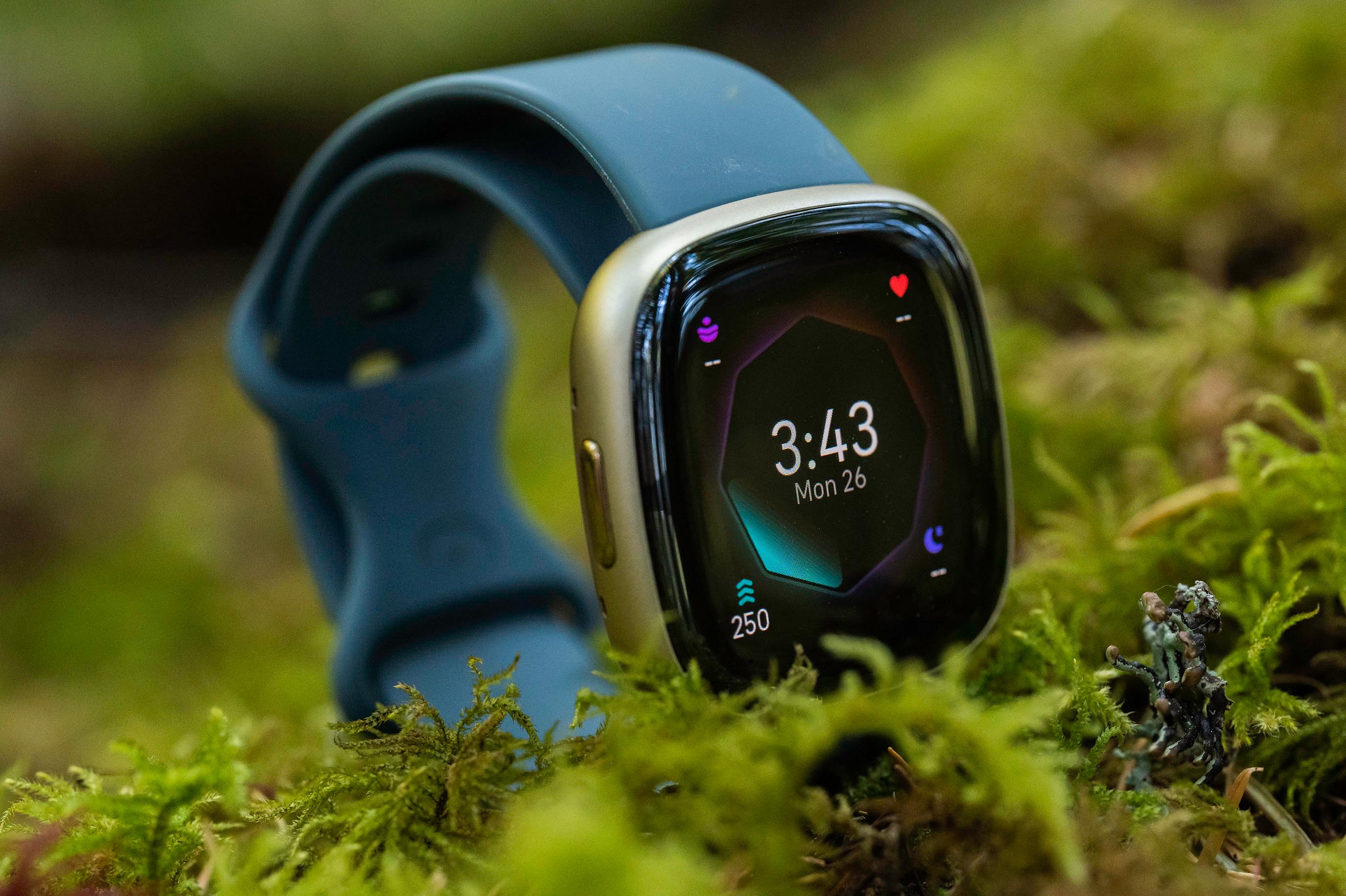 Fitbit Sense 2 review: A smart way to focus on fitness | Digital Trends