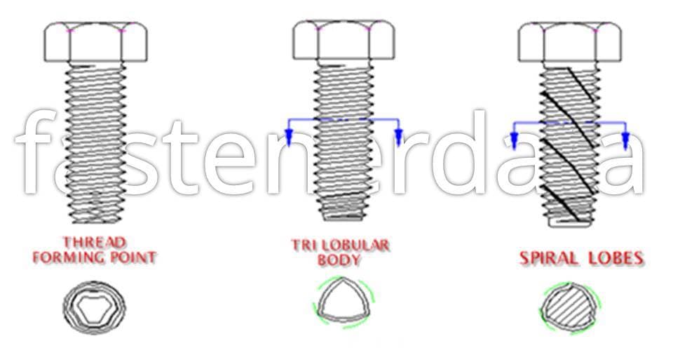 What Are Thread Forming Screws at Austin Bavister blog