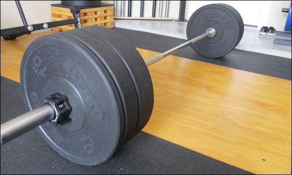 Eleiko XF Bumper Plates Review - Swedish HI-Temps