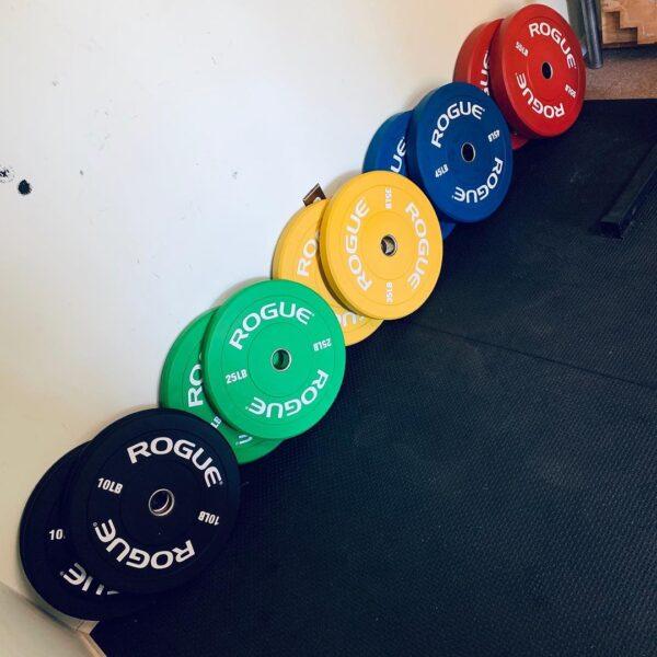 Rogue Color Echo Bumper Plates| Garage Gym Reviews