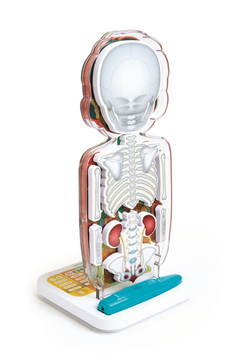 Oregon Scientific Smart Anatomy SA218 – обучающая игрушка с голосовой ...