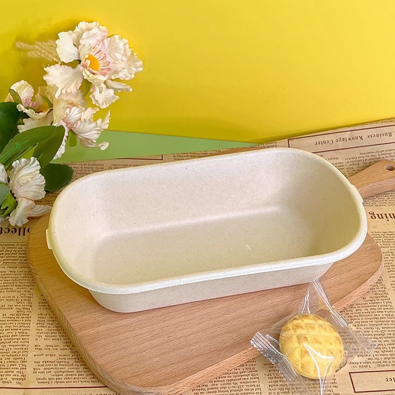 ECO-Friendly Disposable Sugarcane Paper Plates Sugarcane Tray With Lid ...
