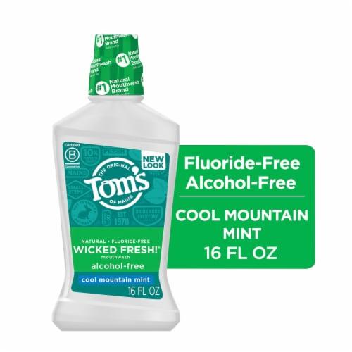 Tom's of Maine Natural Wicked Fresh! Mouthwash with Fluoride in Cool ...