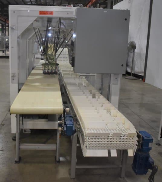 Fanuc Robotic Case Packing System | M&M Equipment Corp