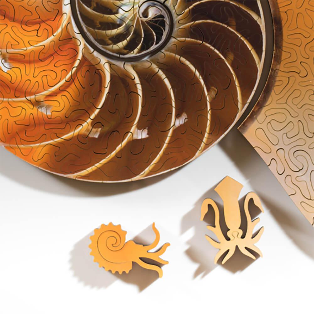 Nautilus Wooden Puzzle - Upgrade Your Puzzle Skills