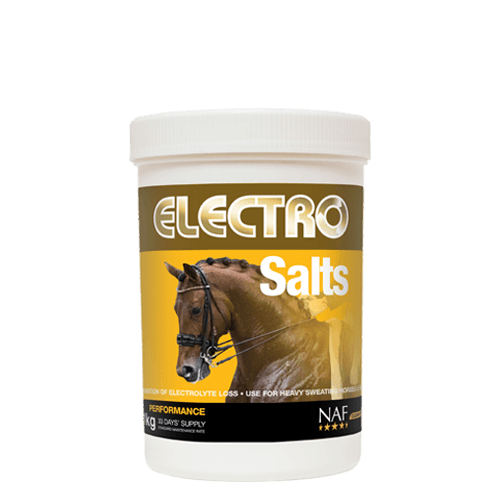 Performance | Equine Supplements | Supplements for Horses