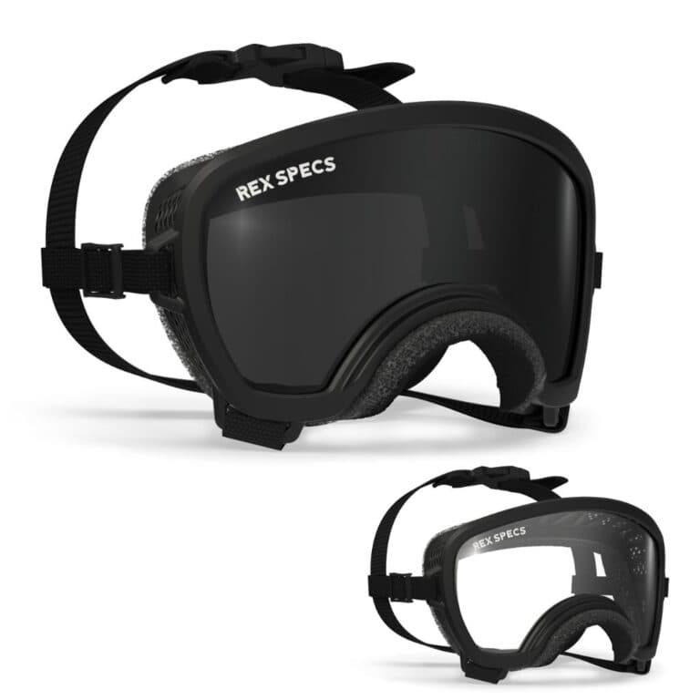 Rex Specs Dog Goggles | The best UV & debris protection for your dog's eyes