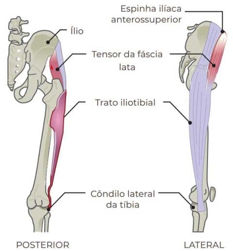 ANATOMIA DA REGIÃO DOS GLÚTEOS APLICADA NA PRÁTICA - Dr. Roberto Chacur