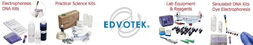 Best UK Edvotek DNA Kits - THINKERS in EDUCATION