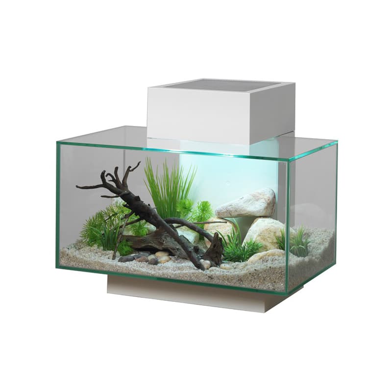 fluval-edge - Waterworld Aquatics
