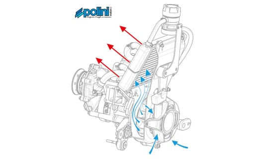 Polini Thor 80 Remanufactured Engine