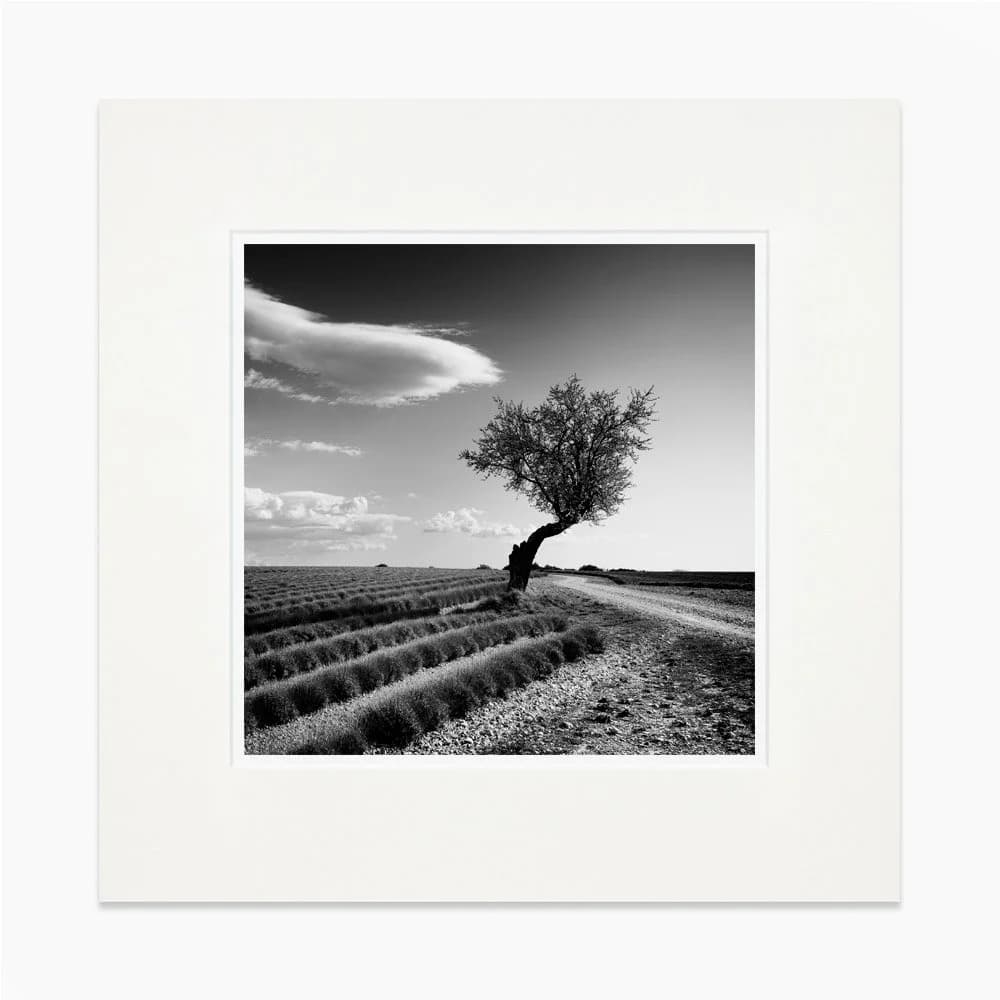 Framed Black And White Landscape Photography